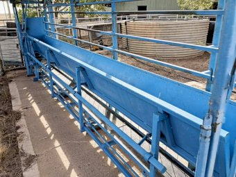 Skopit Goat/sheep lifter