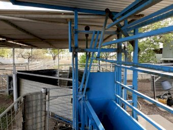 Skopit Goat/sheep lifter