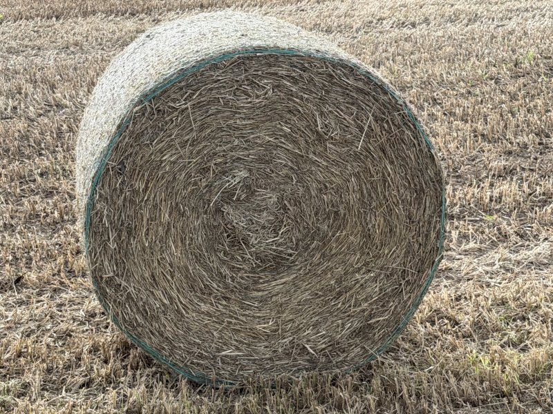 Millet Hay Round Bales x 300