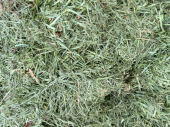 800mt + Racecourse Grass Silage