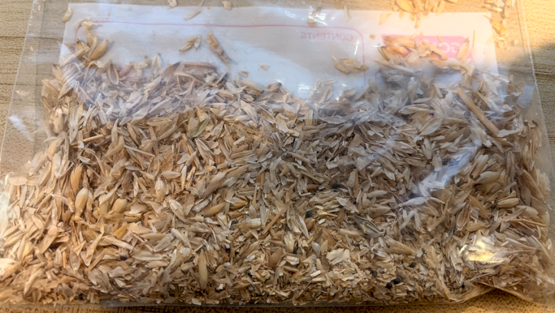 8-10mt Barley and Wheat Screenings