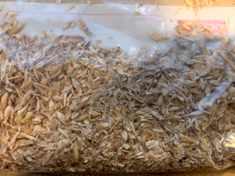 8-10mt Barley and Wheat Screenings