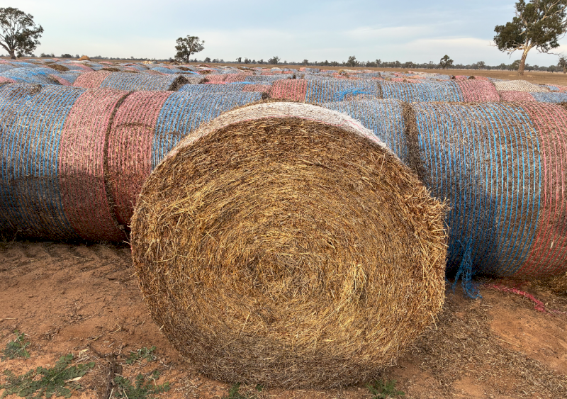 100 x Balansa Clover Hay Round Bales