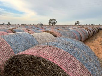 100 x Balansa Clover Hay Round Bales