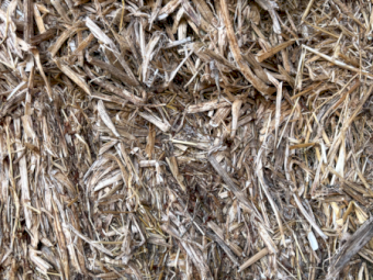 60mt Pasture Hay 550kg 7.6x4x3 Bales