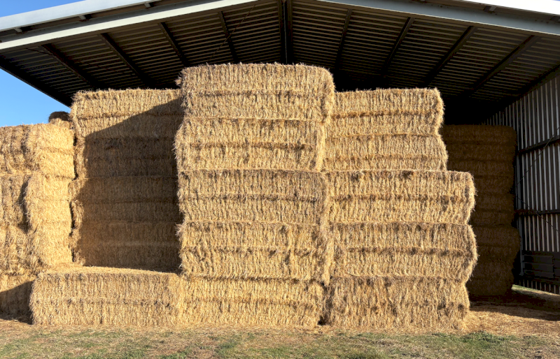 60mt Pasture Hay 550kg 7.6x4x3 Bales