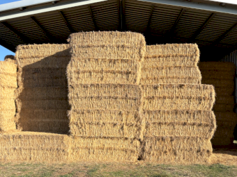 60mt Pasture Hay 550kg 7.6x4x3 Bales