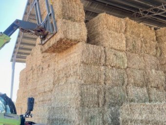 9 X Wheaten Hay 8X4X3 Large Square Bales