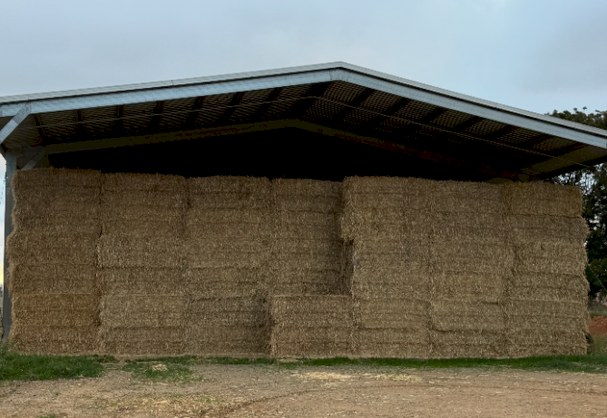 100mt Oaten Hay 500kg 8x4x3 Bales