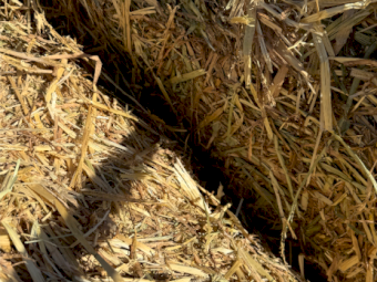 100mt Oaten Hay 500kg 8x4x3 Bales