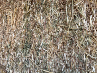100mt Oaten Hay 500kg 8x4x3 Bales