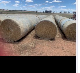 Beardless Wheaten Hay 5x4 Bales