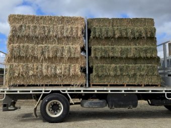 600 Small square Bales Prime Oaten Hay