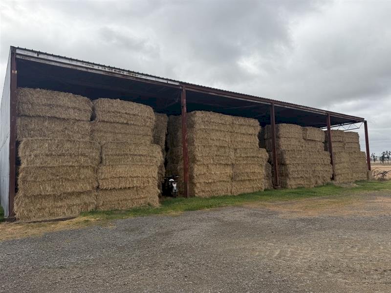 360 m/t Clover and Rye Hay 8x4x3 Bales