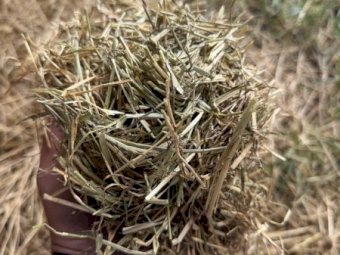 360 m/t Clover and Rye Hay 8x4x3 Bales