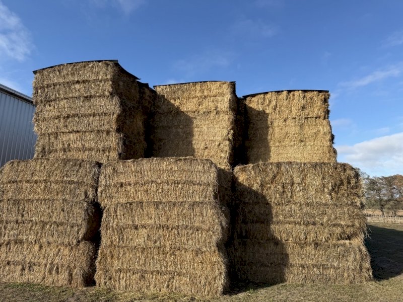 200 m/t Clover Rye Hay 8x4x3 Bales