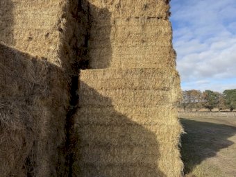200 m/t Clover Rye Hay 8x4x3 Bales