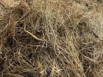 200 m/t Clover Rye Hay 8x4x3 Bales