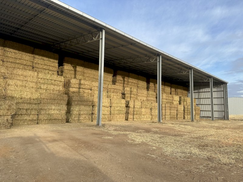 A1 Barley Hay 8x43 Bales