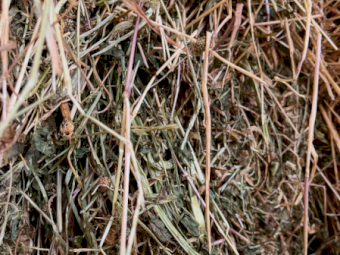 50mt Pasture Hay 550kg 8x4x3 Bales
