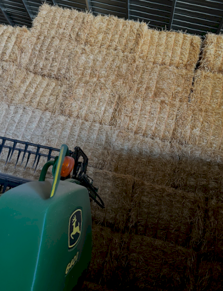 Wheaten Straw 400kg 8x4x3 Bales