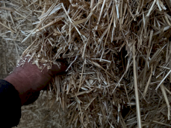 Wheaten Straw 400kg 8x4x3 Bales
