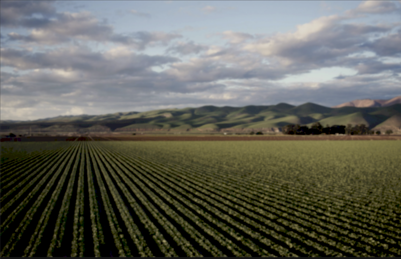 Urea ex Brisbane