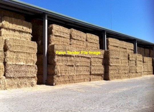 1000m/t Frosted Wheaten Hay