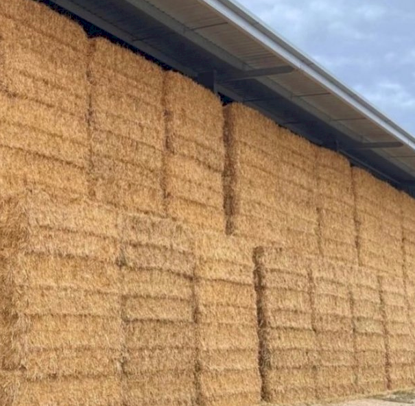 200mt Oaten Hay 620-650kg 8x4x3 Bales