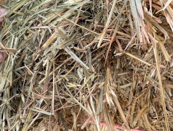 200mt Oaten Hay 620-650kg 8x4x3 Bales
