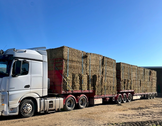 200mt Vetch Hay 700kg+ 8x4x3 Bales