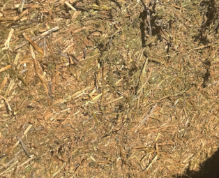 200mt Vetch Hay 700kg+ 8x4x3 Bales