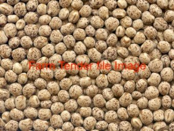 80 mt Lupins