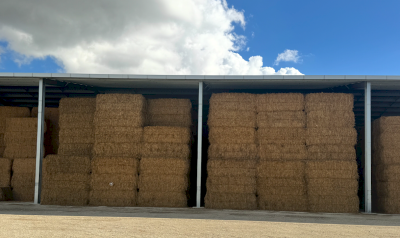 1000mt Oaten Hay 540-560kg 8x4x3 Bales