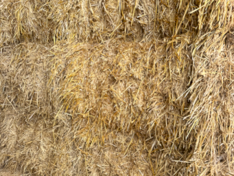 1000mt Oaten Hay 540-560kg 8x4x3 Bales