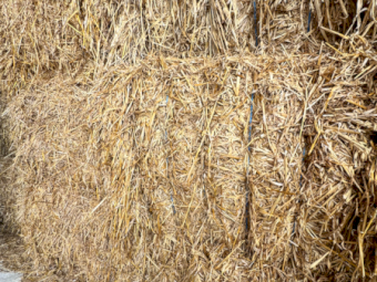 1000mt Oaten Hay 540-560kg 8x4x3 Bales