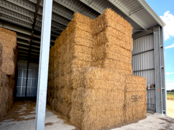 1000mt Oaten Hay 540-560kg 8x4x3 Bales