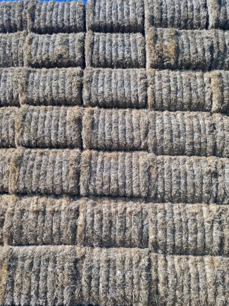6350mt Wheaten Straw 500-550kg 8x4x3 Bales