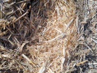 6350mt Wheaten Straw 500-550kg 8x4x3 Bales