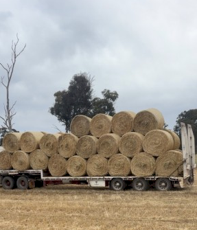 Oaten Hay 5x4 Rolls