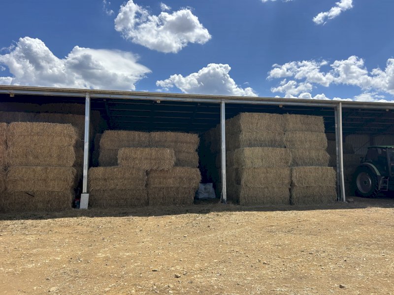 150mt Pasture Hay 500kg 8x4x3 bales