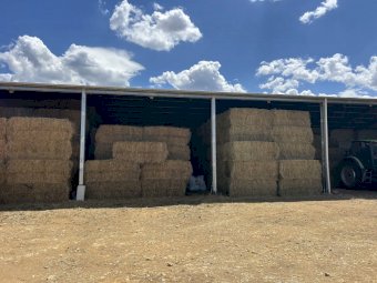 150mt Pasture Hay 8x4x3 bales