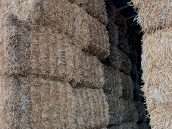 715mt Wheaten Hay 650kg 8x4x3 Bales