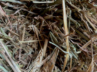 715mt Wheaten Hay 650kg 8x4x3 Bales