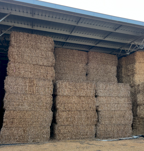 715mt Vetch Hay 650kg 8x4x3 Bales