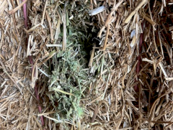 715mt Vetch Hay 650kg 8x4x3 Bales