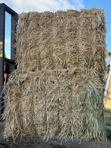 700mt Wheaten Hay 650-700 8x4x3 Bales