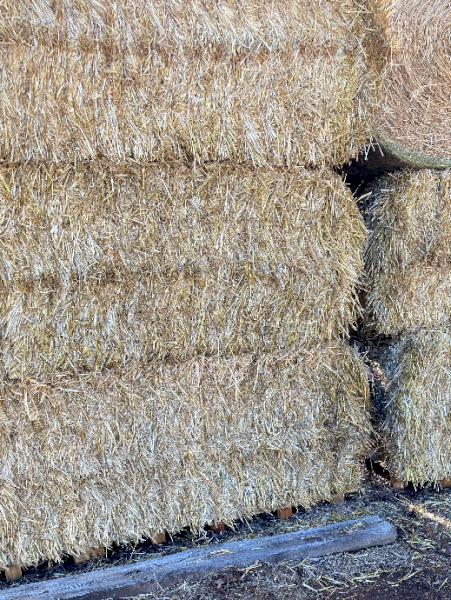 500 x Oaten Straw 500kg 8x4x3 Bales