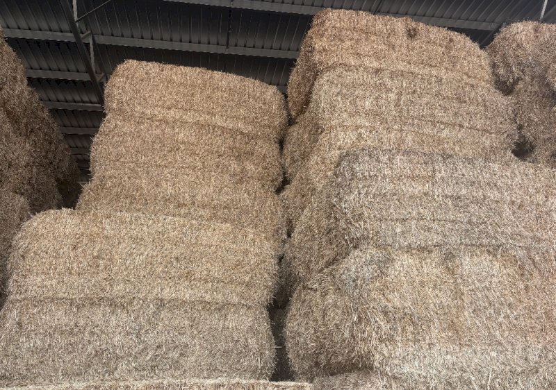 500mt Wheaten Hay 550-600kg 8x4x3 Bales (Delivered to Tamworth NSW)