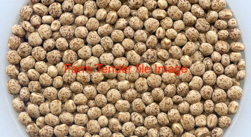 75 mt Mandelup Lupins